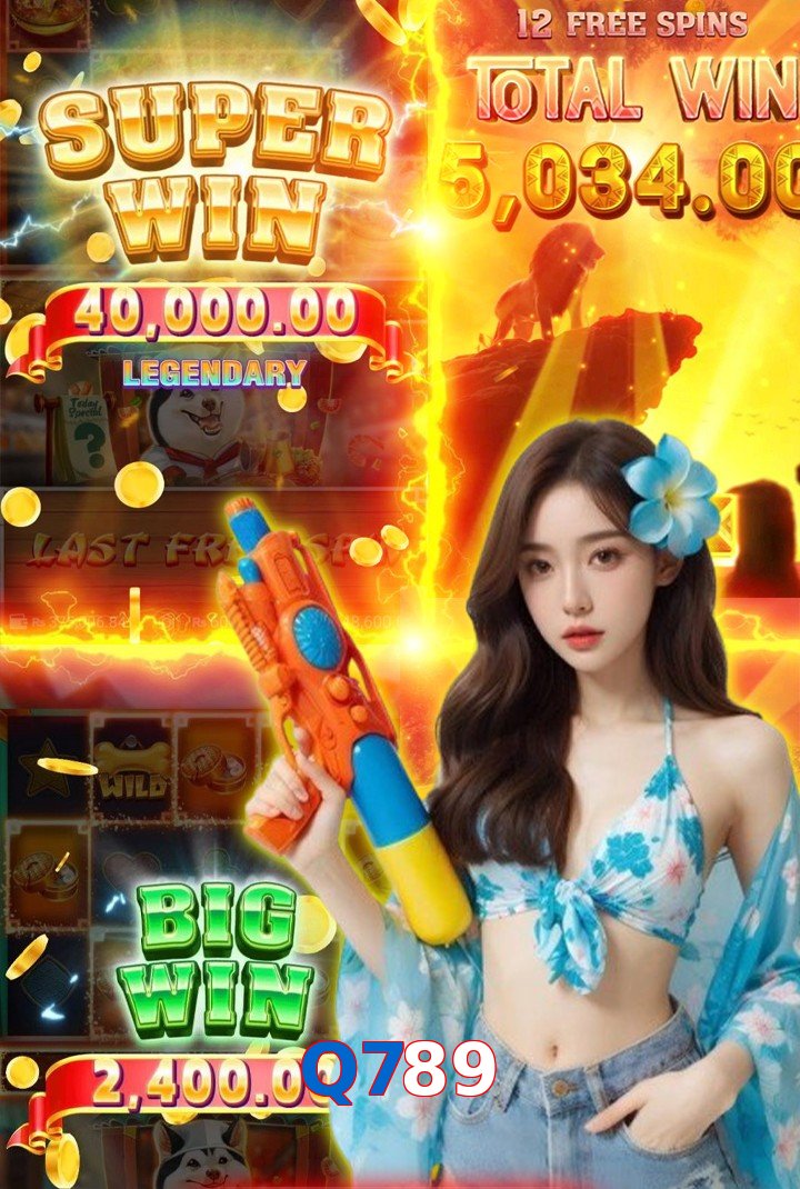 Q789 interface sample